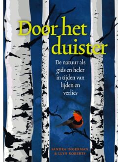 A3 Boeken Door Het Duister - Sandra Ingerman