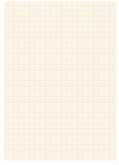 A4 papier met millimeter blokken - 25 vellen - 80 gram - blokjes papier Wit