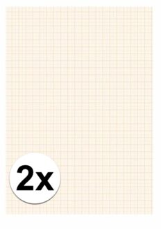 A4 papier met millimeter blokken - 2x - 25 vellen - 80 gram - blokjes papier