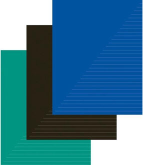 A4 schriften met lijntjes/gelinieerd - 10x - 29,7 x 21 cm - 80 bladzijden - Kantoor - Schoolspullen