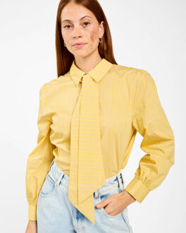 AAIKO Blouse lange mouw fenne colored str Groen