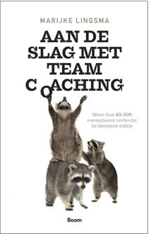 Aan de slag met teamcoaching - Boek Marijke Lingsma (9024421217)