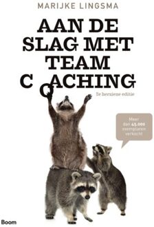 Aan de slag met teamcoaching - Boek Marijke Lingsma (9024421217)