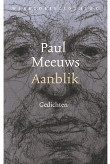 Aanblik - Paul Meeuws
