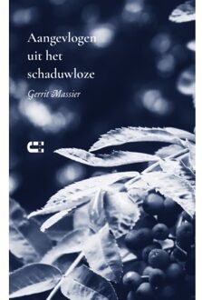 Aangevlogen Uit Het Schaduwloze - Gerrit Massier
