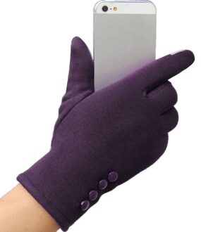 Aankomst Handschoenen Vrouwen Lady Candy Kleur Mobiele Telefoon Handschoenen Mode Dames Winter Outdoor Sport Warme Handschoenen Перчатки Женские paars