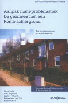 Aanpak multi-problematiek bij gezinnen met een Roma-achtergrond - Boek Henk Sollie (9059319435)