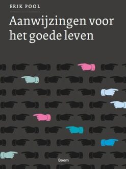 Aanwijzingen voor het goede leven - eBook Erik Pool (9461275447)