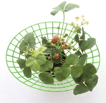 Aardbei Groeiende Cirkel Tuin Plastic Plant Houder Bloem Klimmen Wijnstok Pijler Aardbei Ondersteunt Stand