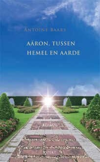 Aaron tussen hemel en aarde - Antoine Baars - ebook