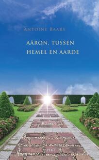 Aaron, tussen hemel en aarde - Boek Antoine Baars (9461534760)