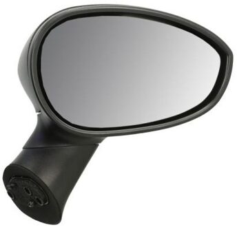 Abarth Buitenspiegel 5402041122527P