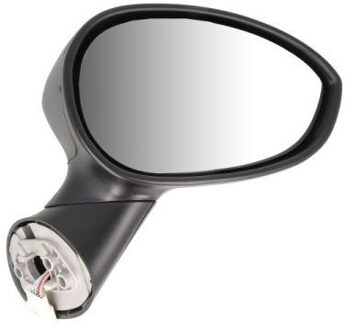 Abarth Buitenspiegel 5402041128933P