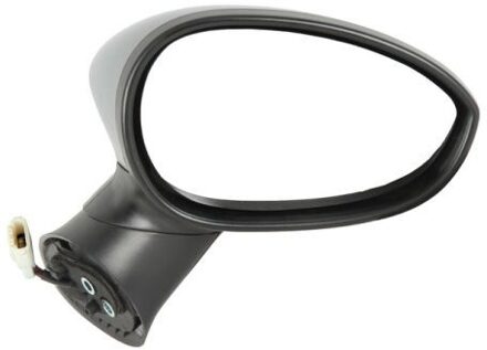 Abarth Buitenspiegel 5402041132527P