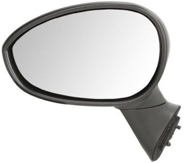 Abarth Buitenspiegel 5402041139933P