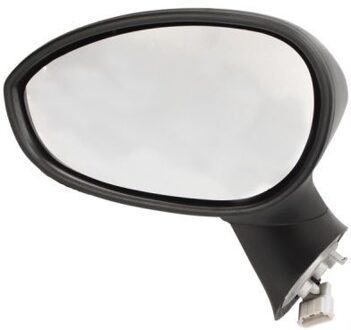 Abarth Buitenspiegel 5402041191527P