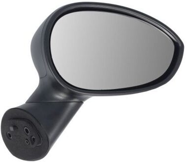 Abarth Buitenspiegel 5402070299310P