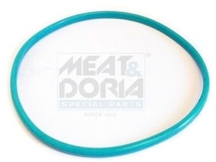 Abarth Pakking, brandstofpomp GSK03