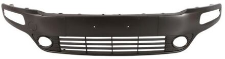 Abarth Plaat, bumper 6509012019924P