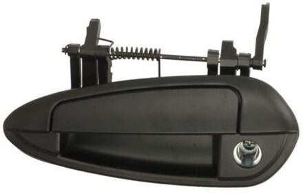 Abarth Portiergreep buitenkant 601007036401PP