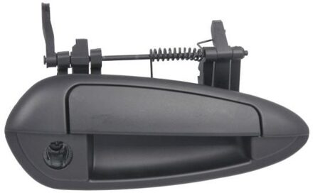 Abarth Portiergreep buitenkant 601007036402P