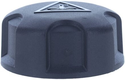 Abarth Radiateurdop T76