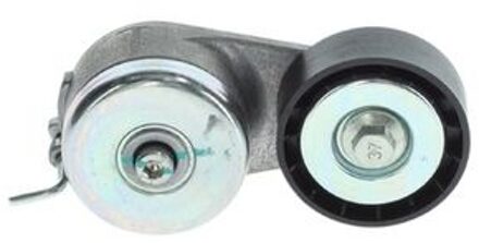 Abarth Riemspanner, Poly V-riem 1987945835