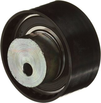 Abarth Spanrol, distributieriem T43055