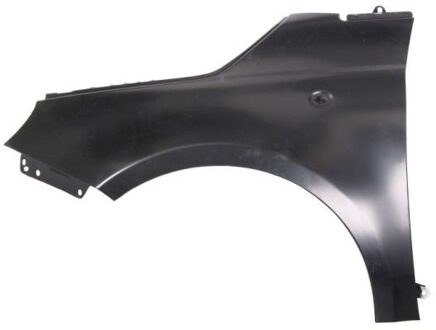 Abarth Spatbord 6504042013312Q