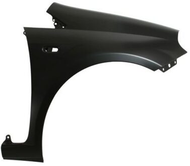 Abarth Spatbord 6504042024312P