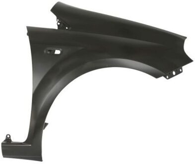 Abarth Spatbord 6504042024312Q