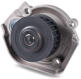 Abarth Waterpomp P1201