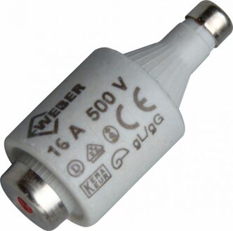 ABB Zekering 16A - 5 stuks - 230 volt - flink (snel)