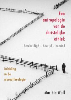 Abc Uitgeverij Handboek moraal theologie / 1 Een antropologie van de christelijke ethiek - Boek Claudia Mariele Wulf (9079578487)
