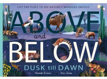 Above And Below: Dusk Till Dawn - Harriet Evans
