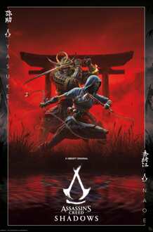 ABYSTYLE Poster Assassins Creed - Shadow Key Art 61x91,5cm Divers - 61x91.5 cm