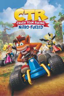 ABYSTYLE Poster Crash Team Racing Cover 61x91,5cm Divers - 61x91.5 cm