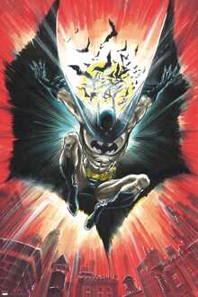 ABYSTYLE Poster DC Comics Batman Warner 100th 61x91,5cm Divers - 61x91.5 cm