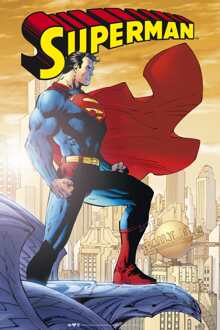 ABYSTYLE Poster DC Comics Superman 61x91,5cm Divers - 61x91.5 cm