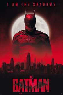 ABYSTYLE Poster Dc Comics The Batman Shadows 61x91,5cm Divers - 61x91.5 cm