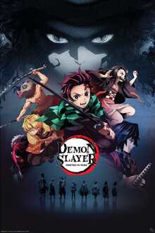 ABYSTYLE Poster Demon Slayer Group 61x91,5cm Divers - 61x91.5 cm
