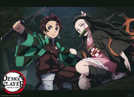 ABYSTYLE Poster Demon Slayer Tanjiro And Nezuko Fight Position 52x38cm Divers - 52x38 cm