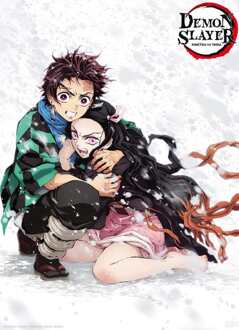 ABYSTYLE Poster Demon Slayer Tanjiro & Nezuko Snow 38x52cm Divers - 38x52 cm