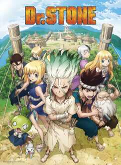 ABYSTYLE Poster Dr Stone Group 38x52cm Divers - 38x52 cm