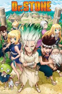 ABYSTYLE Poster Dr Stone Groupe 61x91,5cm Divers - 61x91.5 cm