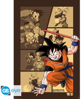 ABYSTYLE Poster Dragon Ball - Goku Retro 61x91,5cm Divers - 61x91.5 cm