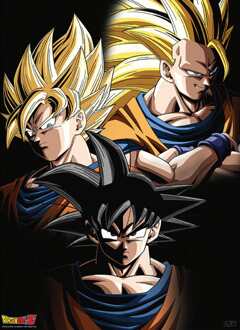 ABYSTYLE Poster Dragon Ball Goku Transformations 38x52cm Divers - 38x52 cm