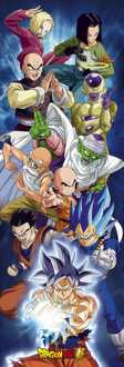 ABYSTYLE Poster Dragon Ball Super Door Group 53x158cm Divers - 53x158 cm