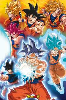 ABYSTYLE Poster Dragon Ball - Super Gokus transformations 61x91,5cm Divers - 61x91.5 cm