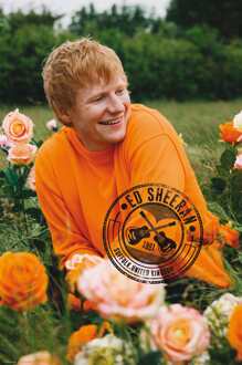 ABYSTYLE Poster Ed Sheeran Rose Field 61x91,5cm Divers - 61x91.5 cm